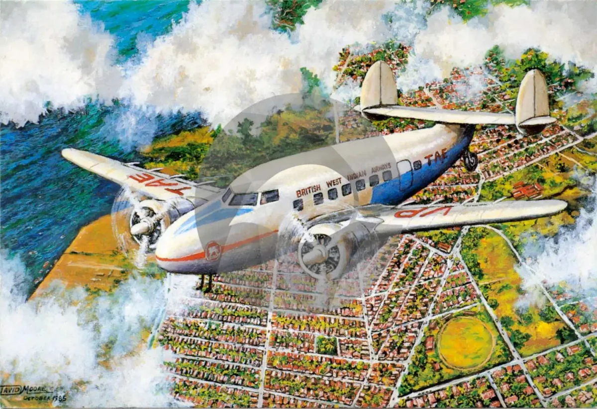 BWIA Plane in Flight by David Moore