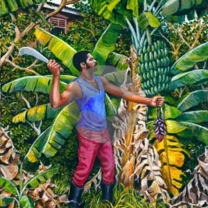 Harvesting Banana by David Moore