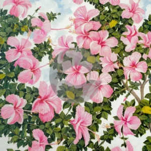 Hibiscus Bunch by David Moore