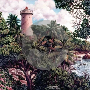 Toco Lighthouse by David Moore